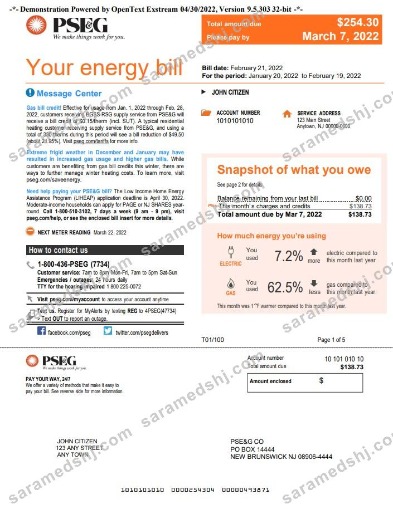 USA New York PSEG utility bill, Word and PDF template, 5 pages 1